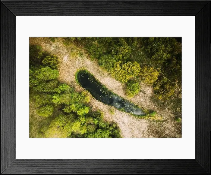 Framed Print : Belarus. Aerial View Of Dry Grass And Small Bog Marsh Swamp Wetland Landscape In Spring Day. High Attitude View. Marsh Bog. Bird's Eye View Framed Print : Belarus. Aerial View Of Dry Grass And Small Bog Marsh Swamp Wetland Landscape In Spring Day. High Attitude View. Marsh Bog. Bird's Eye View