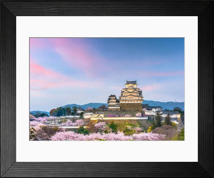 Framed Print : Himeji, Japan at Himeji Castle during spring cherry blossom season Framed Print : Himeji, Japan at Himeji Castle during spring cherry blossom season