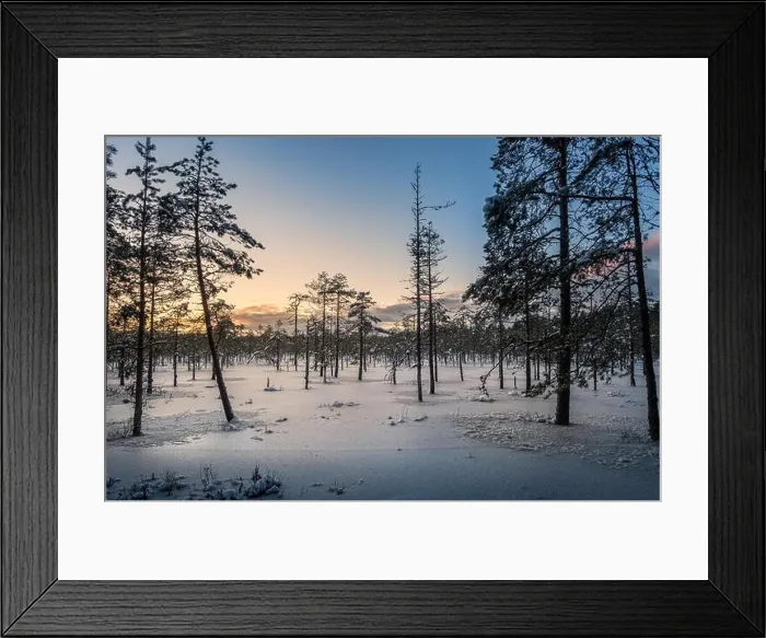 Framed Print : Scenic sunset with wetland at winter time in Finland