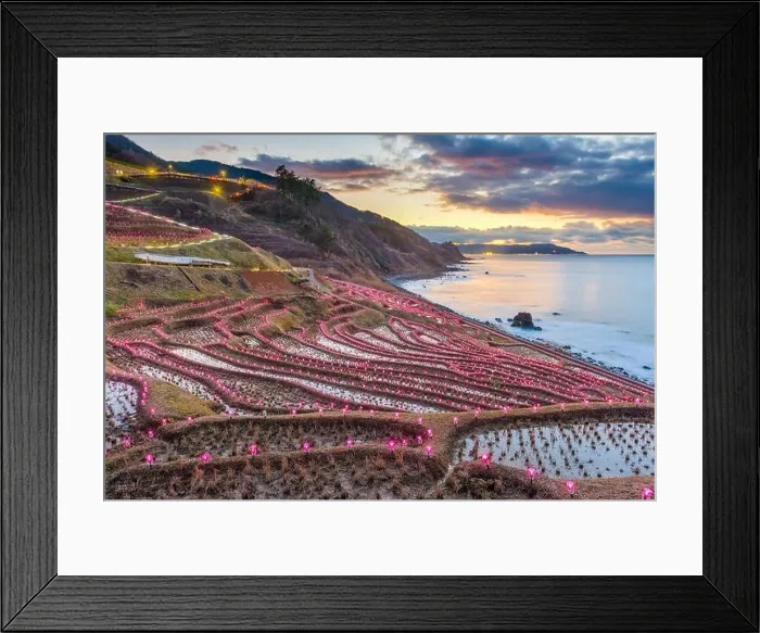 Framed Print : Wajima, Japan at Shiroyone Senmaida Rice Terraces Framed Print : Wajima, Japan at Shiroyone Senmaida Rice Terraces