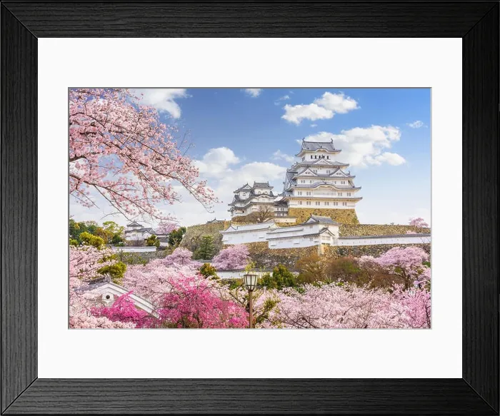 Framed Print : Himeji, Japan at Himeji Castle during spring cherry blossom season Framed Print : Himeji, Japan at Himeji Castle during spring cherry blossom season