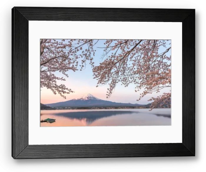 Framed Print : Kawaguchi Lake, Japan at Mt. Fuji in the evening during the spring Framed Print : Kawaguchi Lake, Japan at Mt. Fuji in the evening during the spring