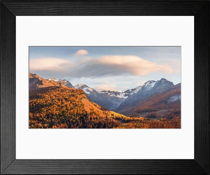 Framed Print : Atumn mountains near lake Sils (Silsersee) in Swiss Alps. Colorful forest with orange larch. Switzerland, Maloja region, Upper Engadine Framed Print : Atumn mountains near lake Sils (Silsersee) in Swiss Alps. Colorful forest with orange larch. Switzerland, Maloja region, Upper Engadine