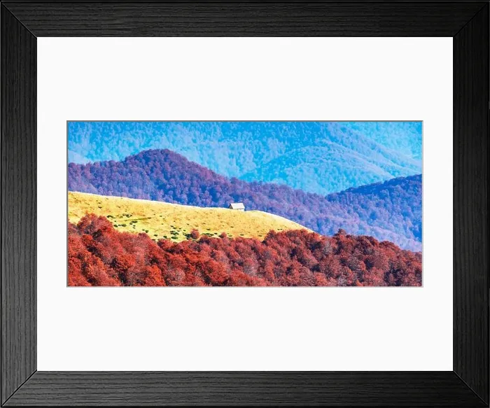 Framed Print : Picturesque autumn meadow with wooden house and red beech trees in the Carpathian mountains, Ukraine. Landscape photography