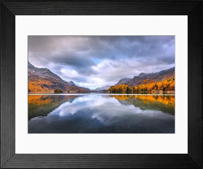 Framed Print : Atumn lake Sils (Silsersee) in Swiss Alps mountains. Colorful forest with orange larch. Switzerland, Maloja region, Upper Engadine Framed Print : Atumn lake Sils (Silsersee) in Swiss Alps mountains. Colorful forest with orange larch. Switzerland, Maloja region, Upper Engadine