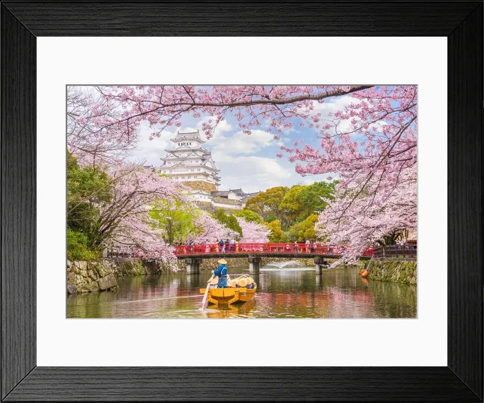 Framed Print : Himeji, Japan at Himeji Castle in spring season Framed Print : Himeji, Japan at Himeji Castle in spring season