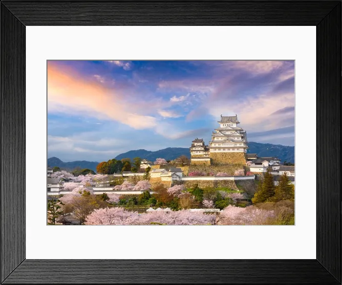 Framed Print : Himeji, Japan at Himeji Castle during spring cherry blossom season Framed Print : Himeji, Japan at Himeji Castle during spring cherry blossom season