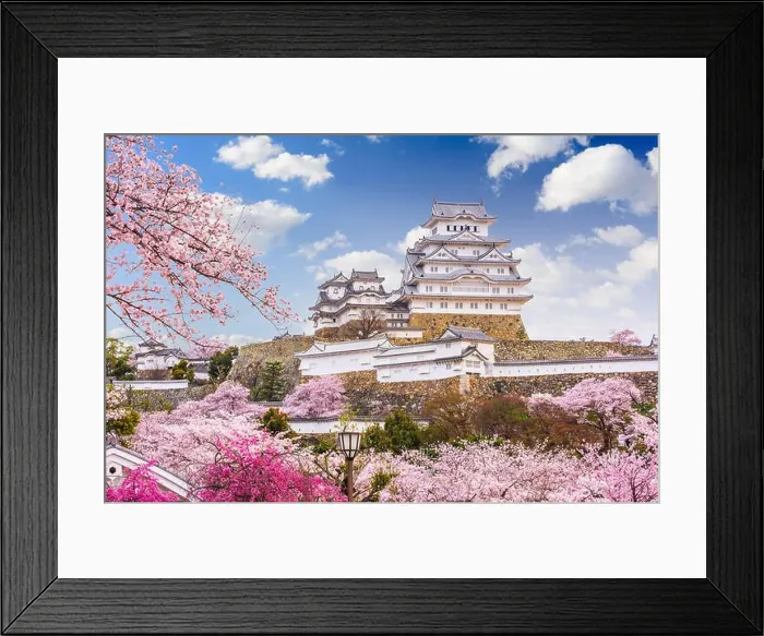 Framed Print : Himeji, Japan at Himeji Castle during spring cherry blossom season Framed Print : Himeji, Japan at Himeji Castle during spring cherry blossom season