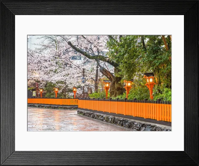 Framed Print : Kyoto, Japan along Shirakawa Dori Street in the spring season Framed Print : Kyoto, Japan along Shirakawa Dori Street in the spring season