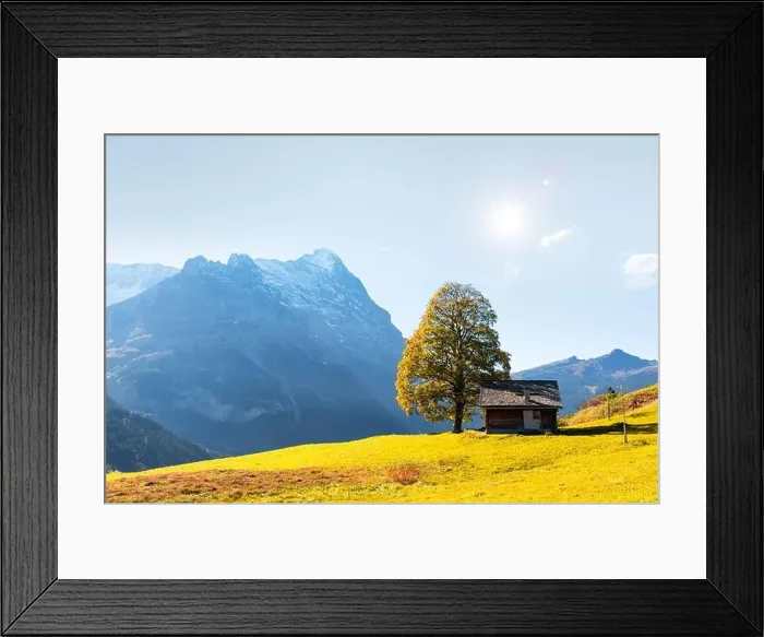 Framed Print : Picturesque autumn landscape with orange tree and green meadow in Grindelwald village in Swiss Alps Framed Print : Picturesque autumn landscape with orange tree and green meadow in Grindelwald village in Swiss Alps