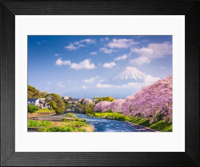 Framed Print : Mt. Fuji, Japan spring landscape Framed Print : Mt. Fuji, Japan spring landscape