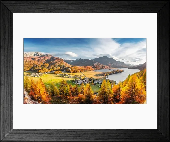 Framed Print : Panorama of Sils village and lake Sils (Silsersee) in Swiss Alps mountains. Colorful forest with orange larch Framed Print : Panorama of Sils village and lake Sils (Silsersee) in Swiss Alps mountains. Colorful forest with orange larch