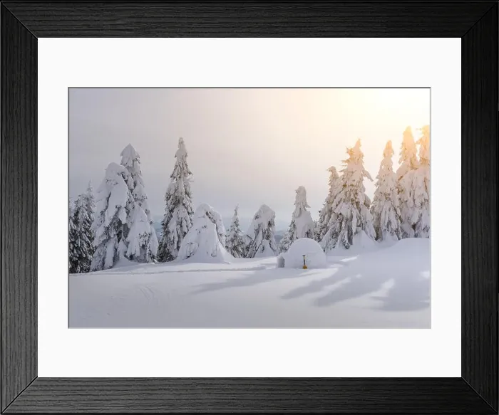 Framed Print : Real snow igloo house in the winter Carpathian mountains. Snow-covered firs on the background Framed Print : Real snow igloo house in the winter Carpathian mountains. Snow-covered firs on the background