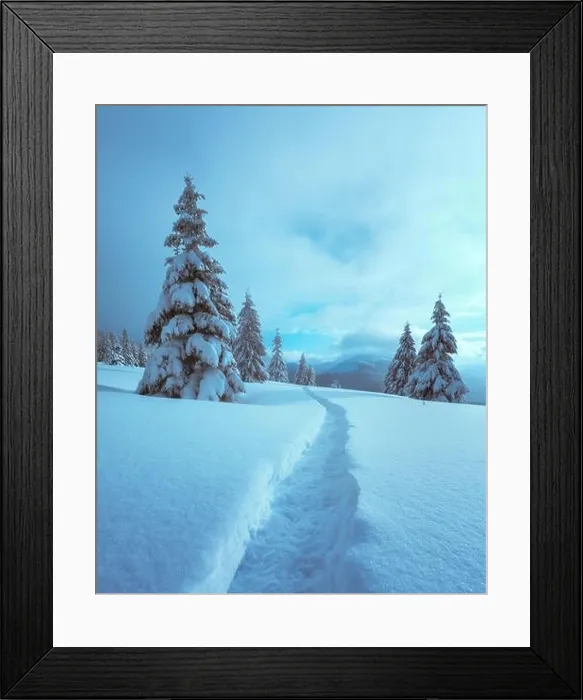Framed Print : Fantastic winter landscape with snowy trees and snowy peaks. Carpathian mountains, Ukraine. Christmas holiday background. Landscape photography Framed Print : Fantastic winter landscape with snowy trees and snowy peaks. Carpathian mountains, Ukraine. Christmas holiday background. Landscape photography