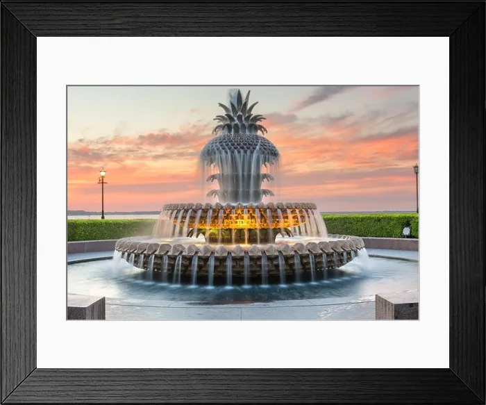 Framed Print : Charleston, South Carolina, USA at Waterfront Park at dawn