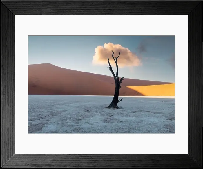 Framed Print : Dead Camelthorn Trees at sunrise, Deadvlei, Namib-Naukluft National Park, Namibia, Africa. Dried trees in Namib desert. Landscape photography Framed Print : Dead Camelthorn Trees at sunrise, Deadvlei, Namib-Naukluft National Park, Namibia, Africa. Dried trees in Namib desert. Landscape photography