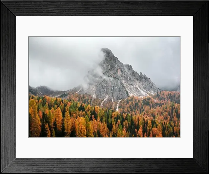 Framed Print : Incredible autumn view at Italian Dolomite Alps. Orange larches forest and foggy mountains peaks on background. Dolomites, Italy Framed Print : Incredible autumn view at Italian Dolomite Alps. Orange larches forest and foggy mountains peaks on background. Dolomites, Italy