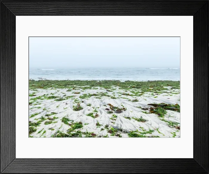 Framed Print : Seaweed after storm on sand coast of South Atlantic ocean. Foggy calm water and mesty beach in morning time Framed Print : Seaweed after storm on sand coast of South Atlantic ocean. Foggy calm water and mesty beach in morning time
