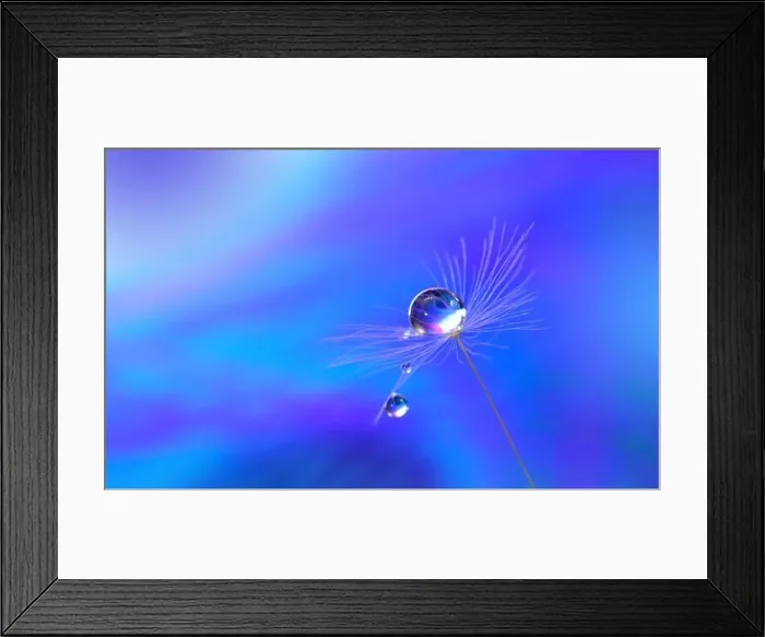 Framed Print : Beautiful Nature Background.Floral Art Design.Abstract Macro Photography.Pastel Flower.Dandelion Flowers.Blue Background.Creative Artistic Wallpaper Framed Print : Beautiful Nature Background.Floral Art Design.Abstract Macro Photography.Pastel Flower.Dandelion Flowers.Blue Background.Creative Artistic Wallpaper
