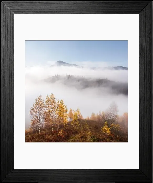 Framed Print : Amazing scene on foggy autumn mountains. Yellow and orange trees in fantastic morning sunlight. Carpathians, Europe. Landscape photography Framed Print : Amazing scene on foggy autumn mountains. Yellow and orange trees in fantastic morning sunlight. Carpathians, Europe. Landscape photography