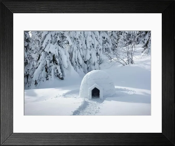 Framed Print : Real snow igloo house in the winter Carpathian mountains. Snow-covered firs on the background. Landscape photography Framed Print : Real snow igloo house in the winter Carpathian mountains. Snow-covered firs on the background. Landscape photography