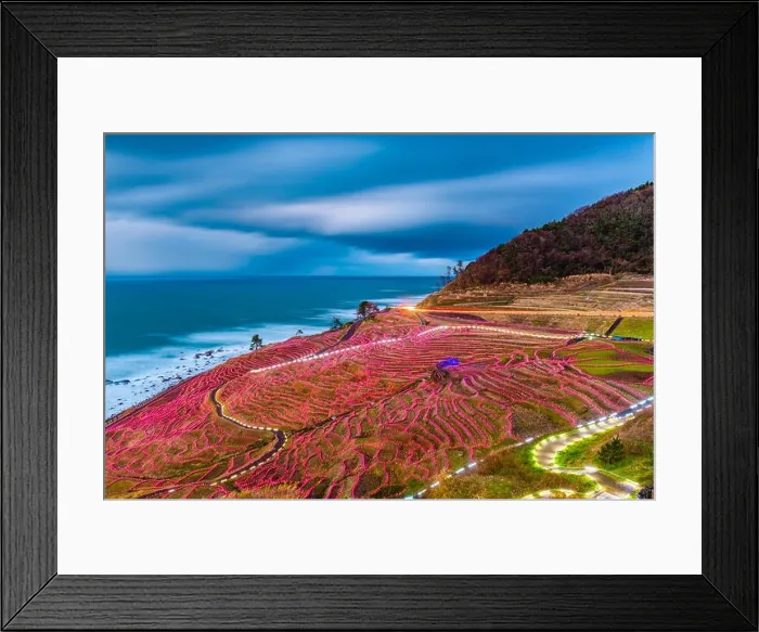 Framed Print : Wajima, Japan at Shiroyone Senmaida rice terraces night light up Framed Print : Wajima, Japan at Shiroyone Senmaida rice terraces night light up