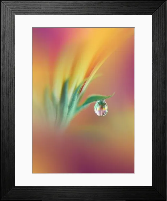 Framed Print : Beautiful Macro Photo.Colorful Flowers.Border Art Design.Magic Light.Close up Photography.Conceptual Abstract Image.Yellow and Green Background.Water Framed Print : Beautiful Macro Photo.Colorful Flowers.Border Art Design.Magic Light.Close up Photography.Conceptual Abstract Image.Yellow and Green Background.Water
