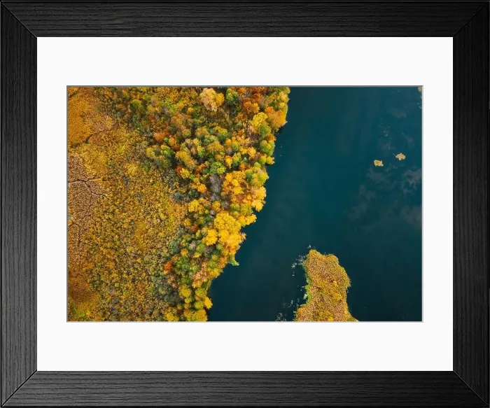 Framed Print : Aerial View Of Green Grass Landscape. Top View Of River Coast From High Attitude In Summer Evening. Marsh Bog. Drone View Framed Print : Aerial View Of Green Grass Landscape. Top View Of River Coast From High Attitude In Summer Evening. Marsh Bog. Drone View