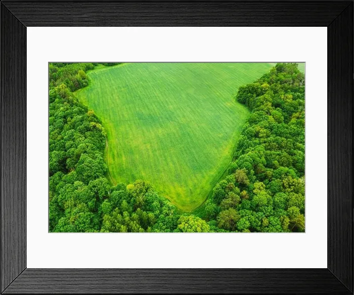 Framed Print : Aerial View Spring Green Field And Forest Landscape. Top View Of Field And Forest Belt. Bird's Eye View Framed Print : Aerial View Spring Green Field And Forest Landscape. Top View Of Field And Forest Belt. Bird's Eye View