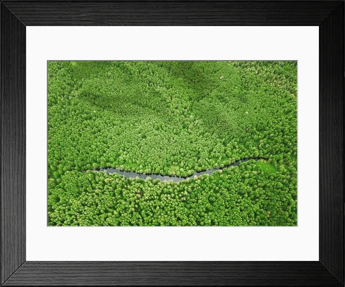 Framed Print : Elevated View Of Green Small Bog Marsh Swamp River Wetland And Green Forest Landscape In Summer Day. Attitude View. Forest In Bird's Eye View Framed Print : Elevated View Of Green Small Bog Marsh Swamp River Wetland And Green Forest Landscape In Summer Day. Attitude View. Forest In Bird's Eye View