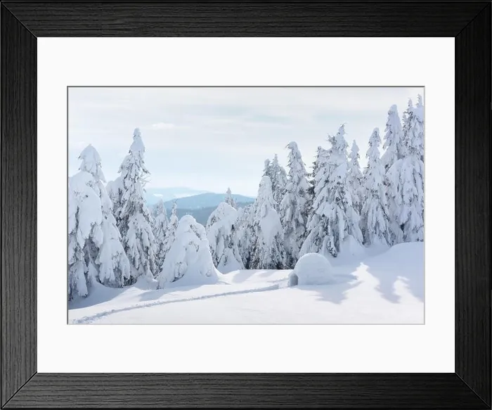 Framed Print : Real snow igloo house in the winter Carpathian mountains. Snow-covered firs on the background Framed Print : Real snow igloo house in the winter Carpathian mountains. Snow-covered firs on the background