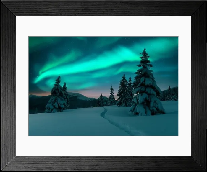 Framed Print : Aurora borealis. Northern lights in winter forest. Sky with polar lights and stars. Night winter landscape with aurora and pine tree forest Framed Print : Aurora borealis. Northern lights in winter forest. Sky with polar lights and stars. Night winter landscape with aurora and pine tree forest