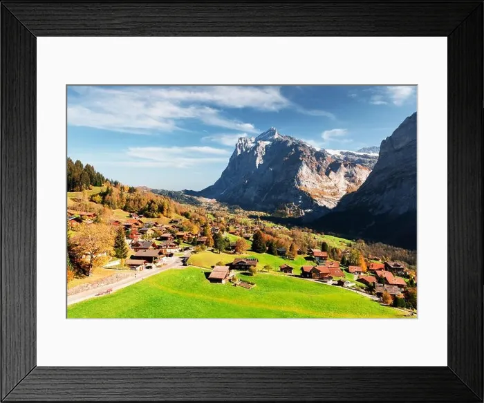 Framed Print : Picturesque autumn landscape in Switzerland mountains. Yellow leaves and wooden houses in Grindelwald village in Swiss Alps Framed Print : Picturesque autumn landscape in Switzerland mountains. Yellow leaves and wooden houses in Grindelwald village in Swiss Alps