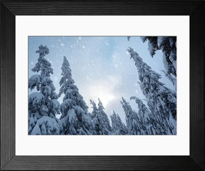 Framed Print : Fantastic winter landscape with snowy trees. Carpathian mountains, Ukraine, Europe. Christmas holiday concept Framed Print : Fantastic winter landscape with snowy trees. Carpathian mountains, Ukraine, Europe. Christmas holiday concept