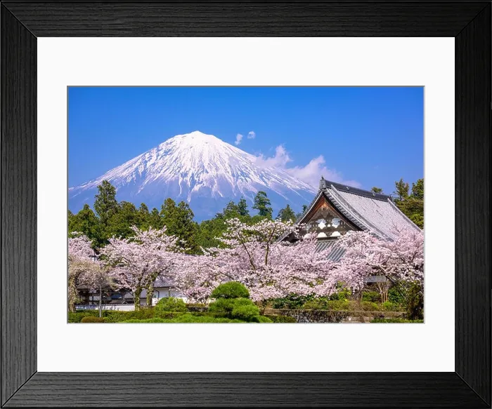 Framed Print : Shizuoka, Japan during spring Framed Print : Shizuoka, Japan during spring