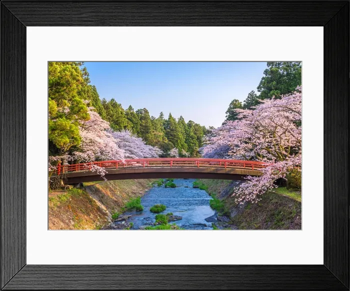 Framed Print : Shizuoka, Japan during spring Framed Print : Shizuoka, Japan during spring