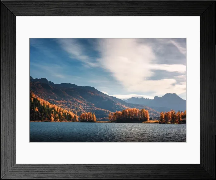Framed Print : Picturesque view on autumn lake Silvaplana in Swiss Alps. Colorful forest with orange larch and snowy mountains on background. Switzerland Framed Print : Picturesque view on autumn lake Silvaplana in Swiss Alps. Colorful forest with orange larch and snowy mountains on background. Switzerland