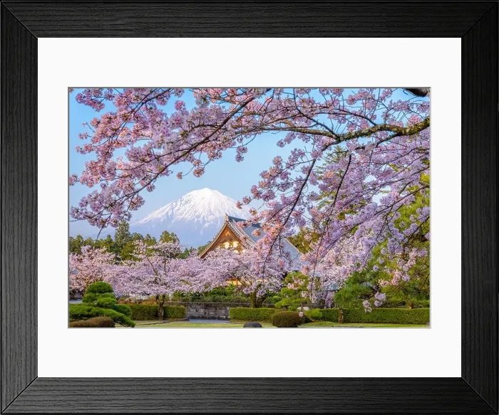 Framed Print : Shizuoka, Japan during spring Framed Print : Shizuoka, Japan during spring