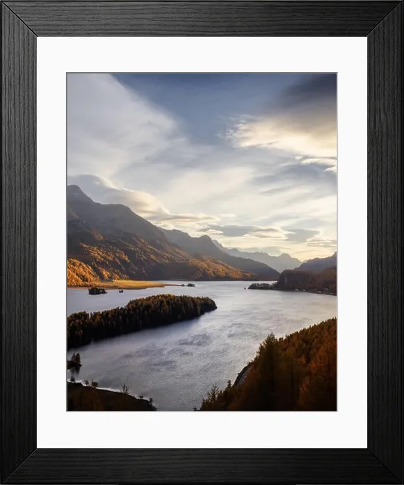Framed Print : Aerial view on autumn lake Sils (Silsersee) in Swiss Alps. Colorful forest with orange larch and snowy mountains on background. Switzerland Framed Print : Aerial view on autumn lake Sils (Silsersee) in Swiss Alps. Colorful forest with orange larch and snowy mountains on background. Switzerland