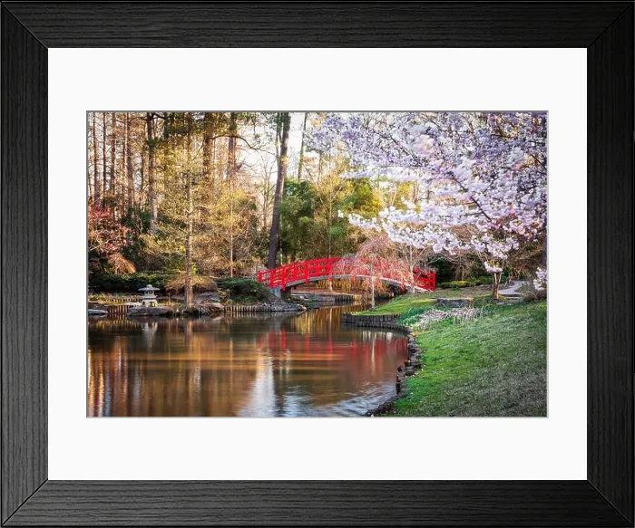 Framed Print : Japanese Gardens in spring season Framed Print : Japanese Gardens in spring season