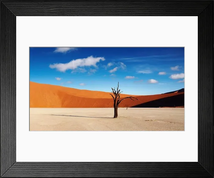 Framed Print : Dead tree in Dead Vlei - Sossusvlei, Namib Desert, Namibia Framed Print : Dead tree in Dead Vlei - Sossusvlei, Namib Desert, Namibia