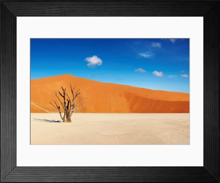 Framed Print : Dead tree in Dead Vlei - Sossusvlei, Namib Desert, Namibia Framed Print : Dead tree in Dead Vlei - Sossusvlei, Namib Desert, Namibia