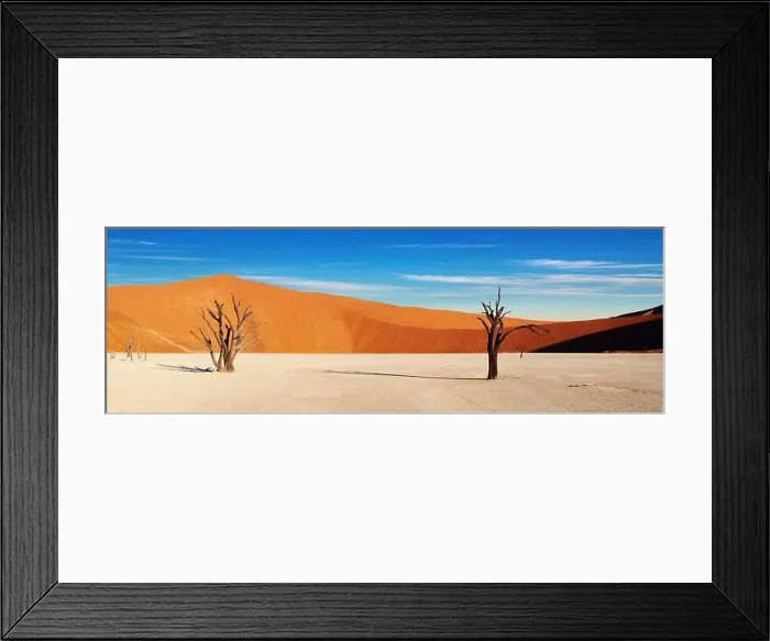 Framed Print : Dead tree in Dead Vlei, Sossusvlei, Namib Desert, Namibia Framed Print : Dead tree in Dead Vlei, Sossusvlei, Namib Desert, Namibia