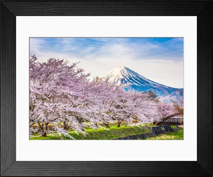 Framed Print : Mt. fuji Japan in Spring from the shore of Kawaguchi Lake Framed Print : Mt. fuji Japan in Spring from the shore of Kawaguchi Lake