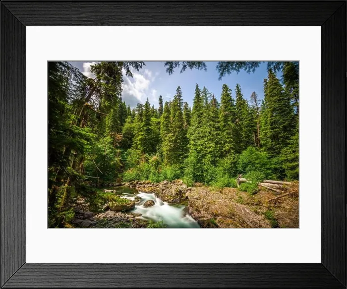 Framed Print : Sol Duc River in Olympic National Park, Washington, USA Framed Print : Sol Duc River in Olympic National Park, Washington, USA