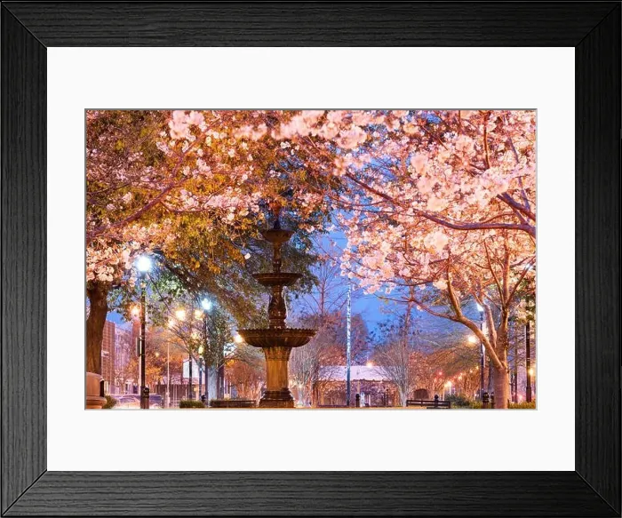 Framed Print : Macon, Georgia, USA downtown square in spring season with the fountain Framed Print : Macon, Georgia, USA downtown square in spring season with the fountain