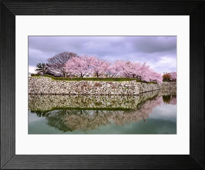 Framed Print : Himeji, Japan at Himeji Castle in spring season Framed Print : Himeji, Japan at Himeji Castle in spring season