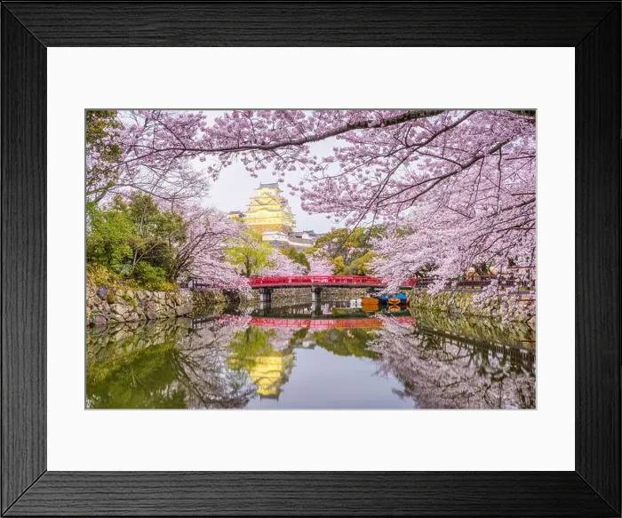 Framed Print : Himeji, Japan at Himeji Castle in spring season Framed Print : Himeji, Japan at Himeji Castle in spring season