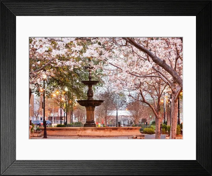 Framed Print : Macon, Georgia, USA downtown square in spring season with the fountain Framed Print : Macon, Georgia, USA downtown square in spring season with the fountain