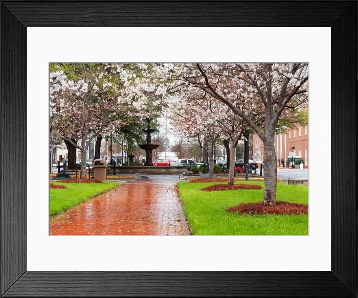 Framed Print : Macon, Georgia, USA downtown square in spring season with the fountain Framed Print : Macon, Georgia, USA downtown square in spring season with the fountain